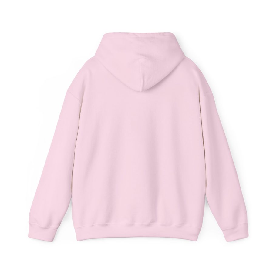 MINISTRY MPD/MLP-HOOD-001 - Image 34